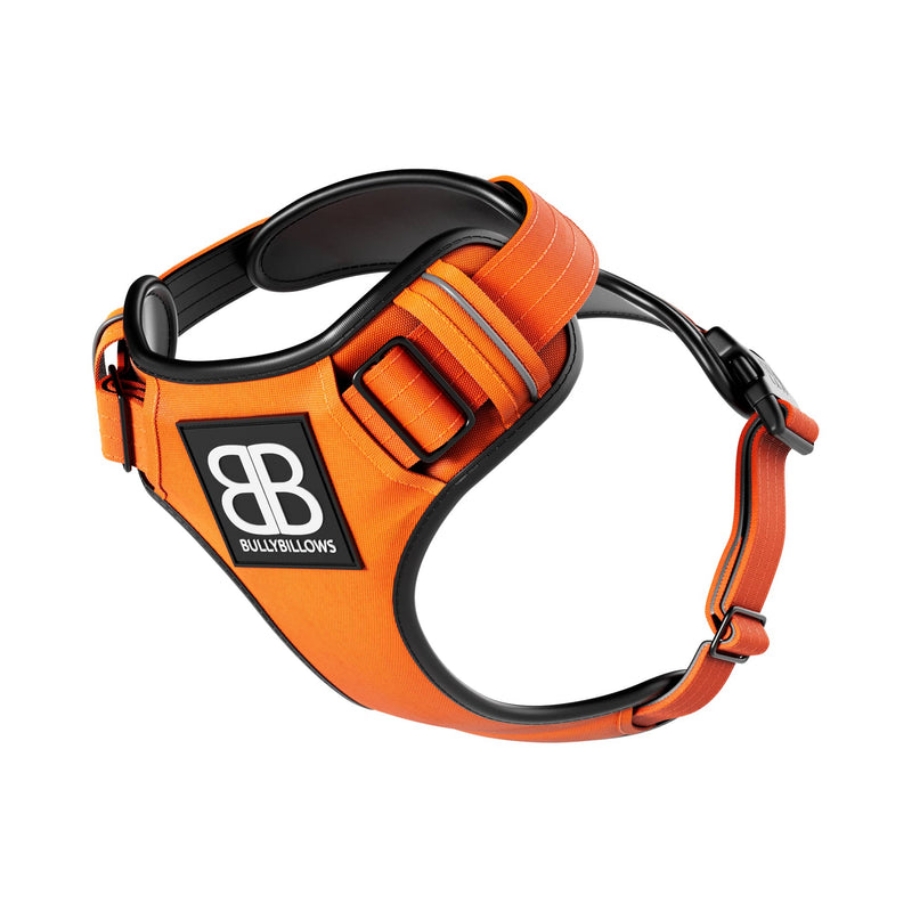 BB Comfort Harness - Orange