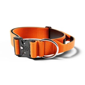 BullyBillows Combat Collar - Orange