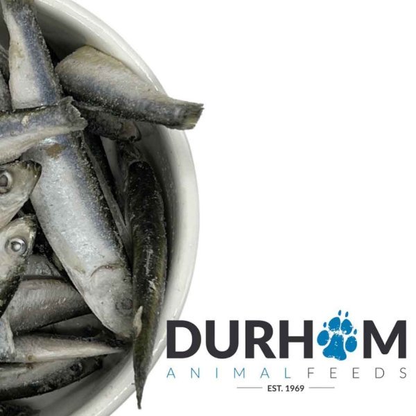 DAF Sprats 1kg