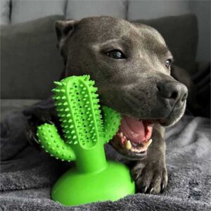 Jawables Cactus Toothbrush Toy