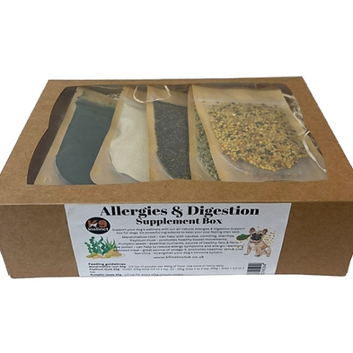 Allergies & Digestion Support Box