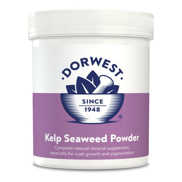 Dorwest Herbs - Kelp Seaweed Powder 250g