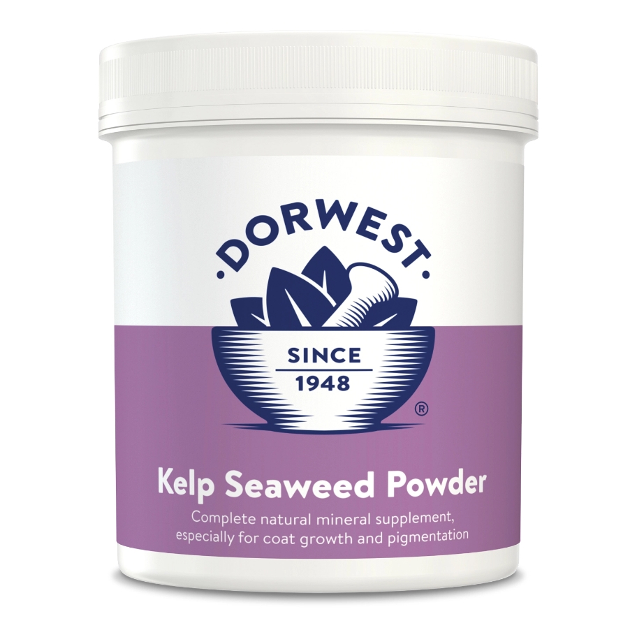 Dorwest Herbs - Kelp Seaweed Powder 250g