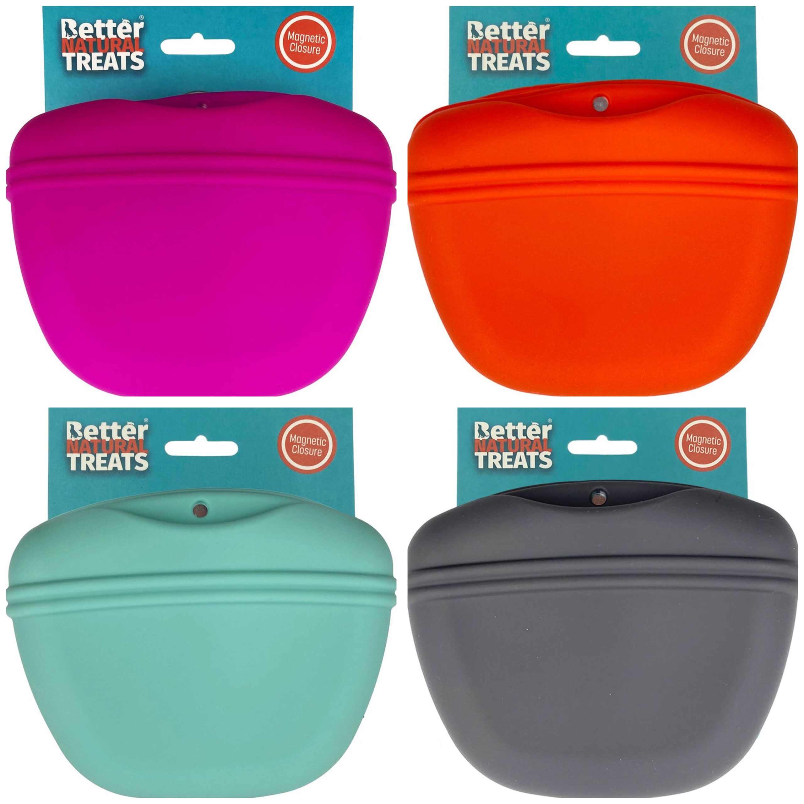 Magnetic Silicone Treat Pouch