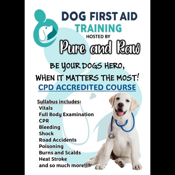 Dog First Aid Course Feb 2026