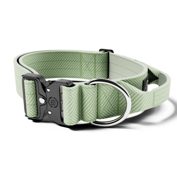BullyBillows Combat Collar - Mint Green Herringbone