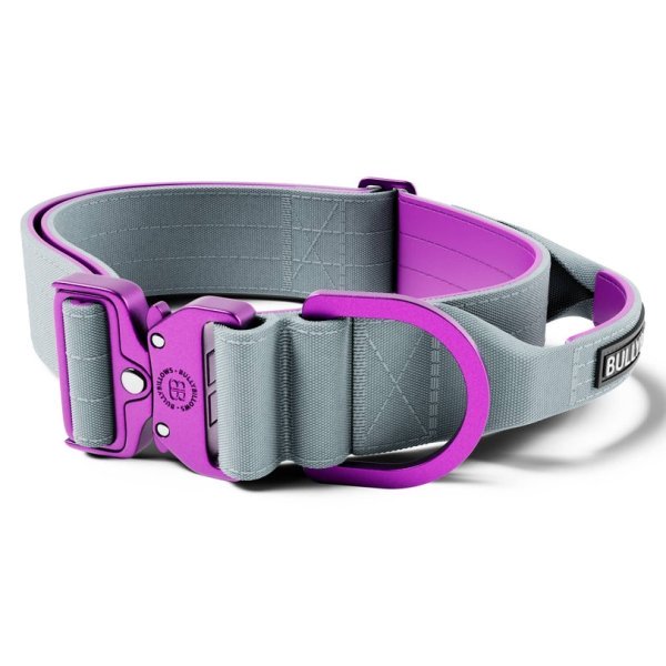 BullyBillows Combat Collar - Purple & Gunmetal Grey