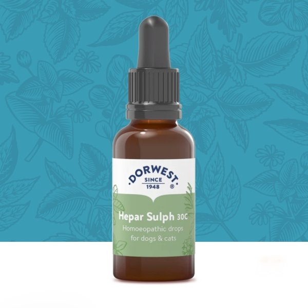 Dorwest - Hepar Sulph 30C