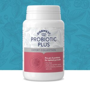 Dorwest Herbs - Probiotic Plus