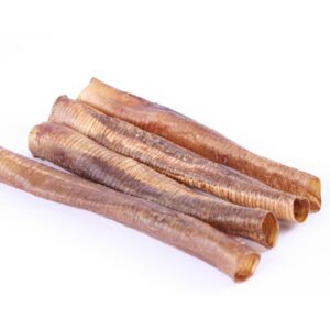 Ostrich Trachea