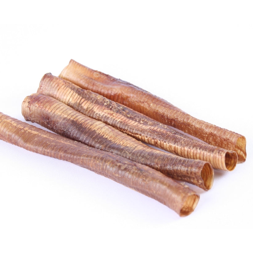 Ostrich Trachea