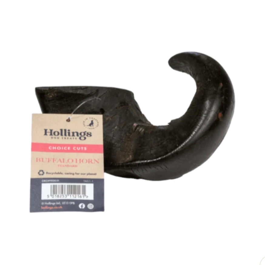 Jumbo Buffalo Horn