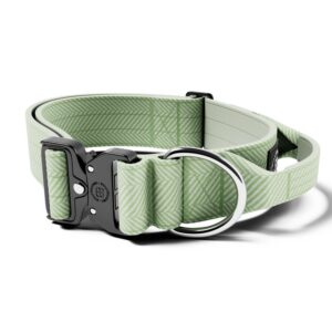 BullyBillows Combat Collar - Mint Green Herringbone
