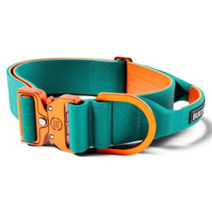 BullyBillows Combat Collar - Turquoise & Orange