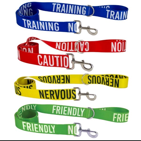 Awareness Leads