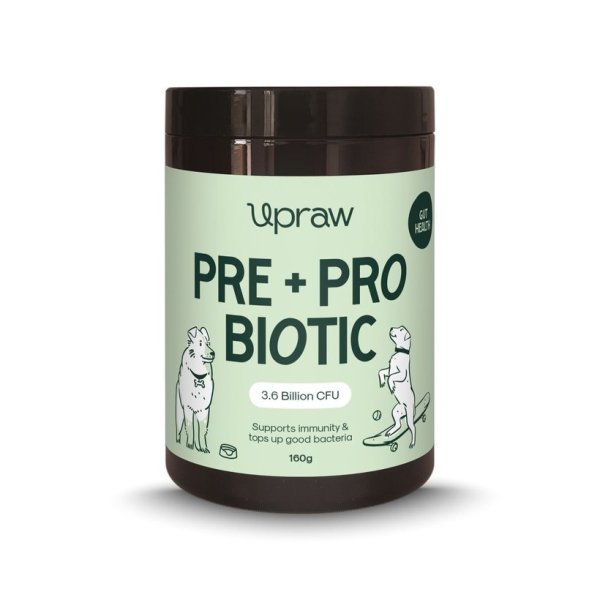 UpRaw! Pre + Pro Biotic