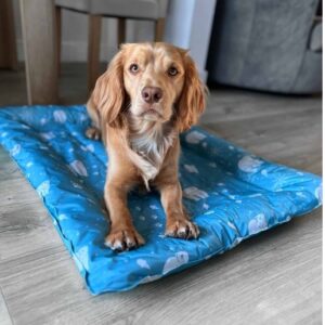 Ice Paws Cooling Mat