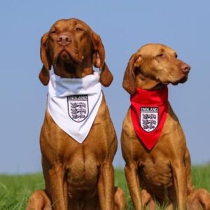 England Bandana