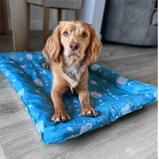 Ice Paws Cooling Mat